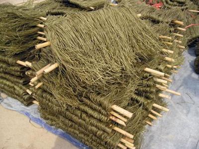粉条粉丝厂投资加工建议与效益分析——实业投资指南